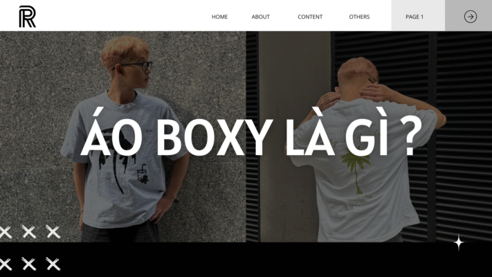 Áo Boxy Là Gì ?